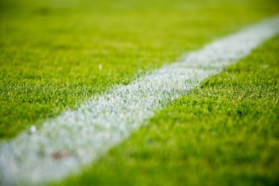 نتائج مباريات اليوم في دوري أبطال أوروبا